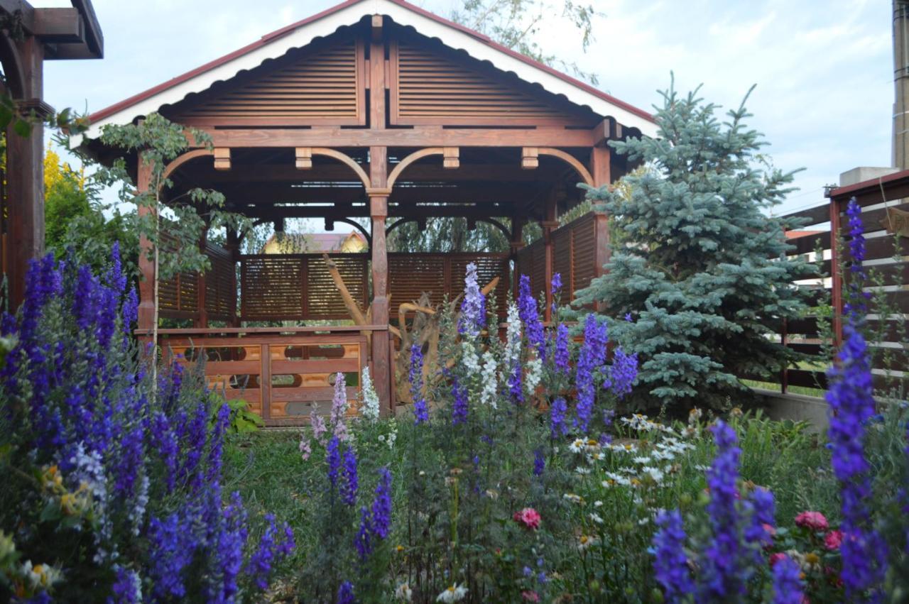 Cabane De Lemn Costinesti Eksteriør billede