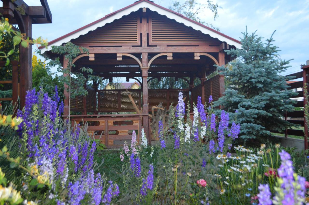 Cabane De Lemn Costinesti Eksteriør billede
