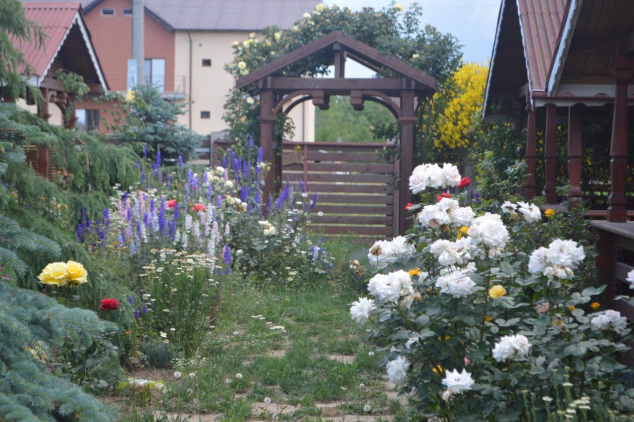 Cabane De Lemn Costinesti Eksteriør billede