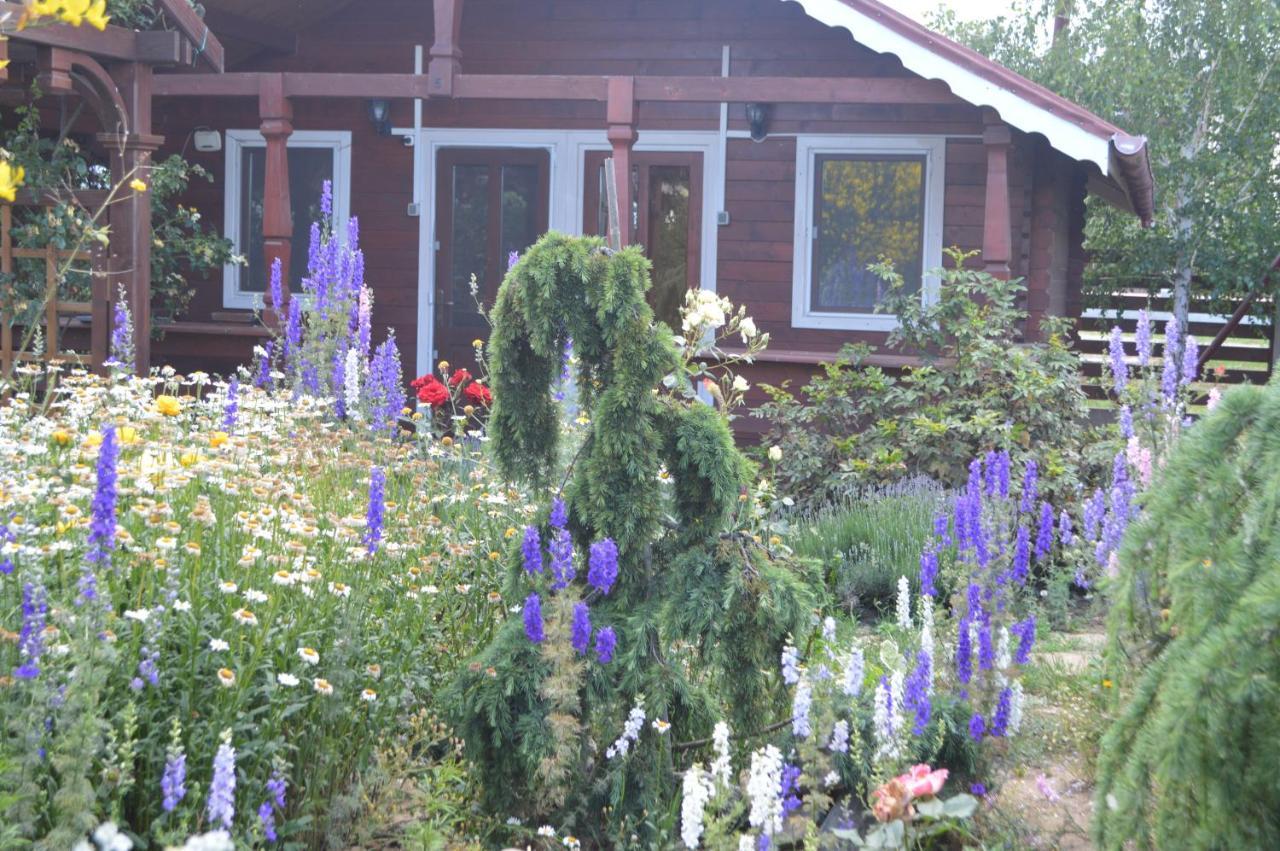 Cabane De Lemn Costinesti Eksteriør billede